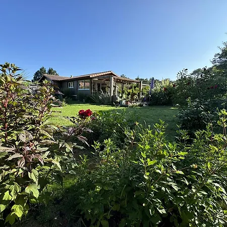 Maison Vieux Boucau - Vakantiehuis Messanges (Landes)