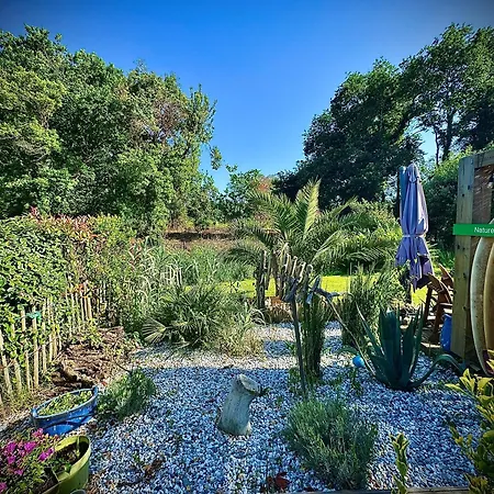 Maison Vieux Boucau - Vakantiehuis Messanges (Landes)